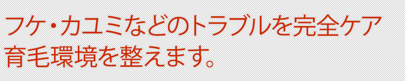 フケ・カユミなどのトラブルを完全ケア　育毛環境を整えます。