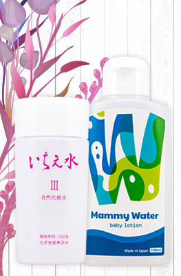 特別セット【送料無料】